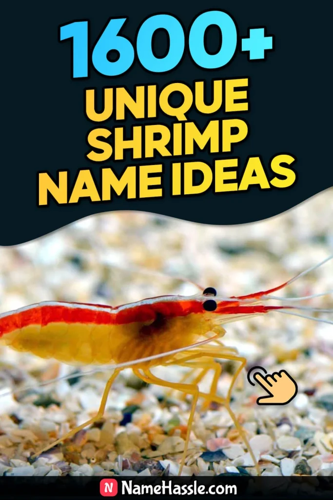 Cool And Funny Shrimp Names Ideas (Generator)