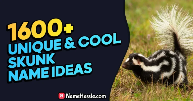 1815+ Cool And Funny Skunk Names Ideas (Generator)