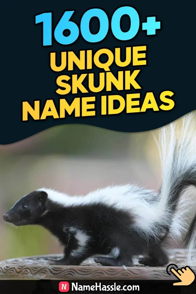 Cool And Funny Skunk Names Ideas (Generator)