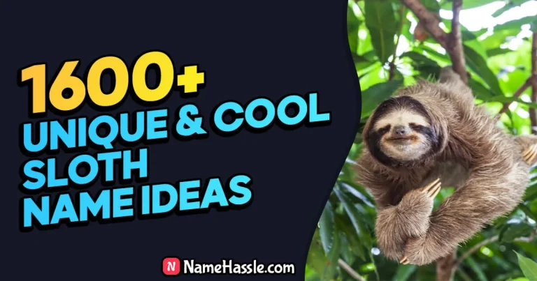 1685+ Cool And Funny Sloth Names Ideas (Generator)