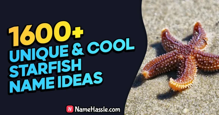 1760+ Cool And Funny Starfish Names Ideas (Generator)
