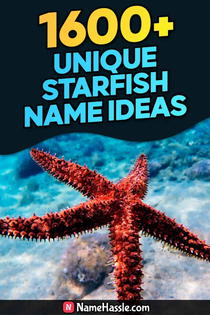 Cool And Funny Starfish Names Ideas (Generator)
