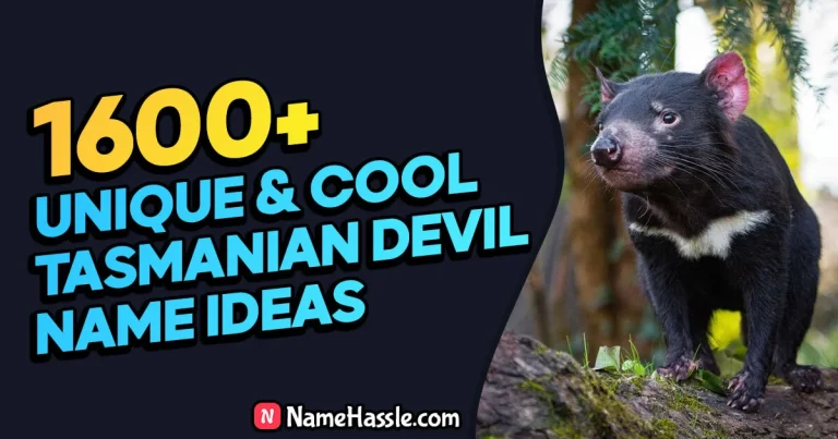 Cool And Funny Tasmanian Devil Names Ideas (Generator)