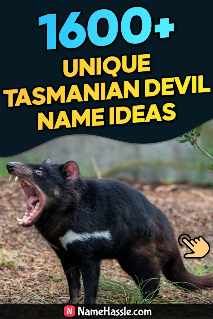 Cool And Funny Tasmanian Devil Names Ideas (Generator)