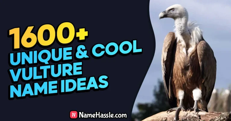 1710+ Cool And Funny Vulture Names Ideas (Generator)