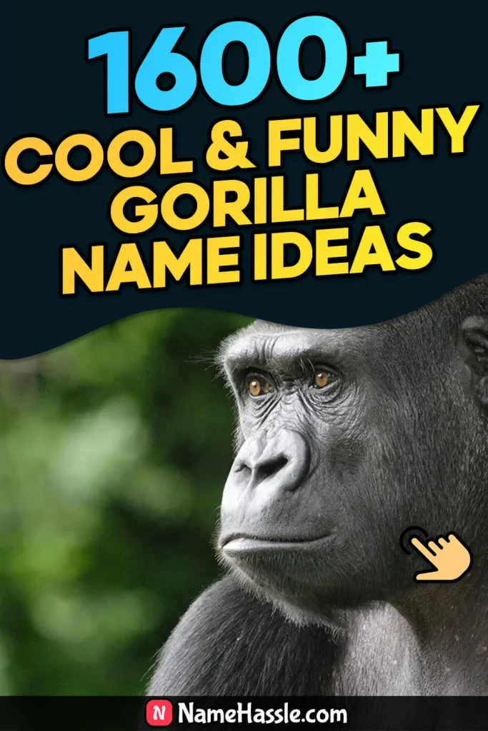 Cool & Funny Gorilla Names Ideas (Generator)