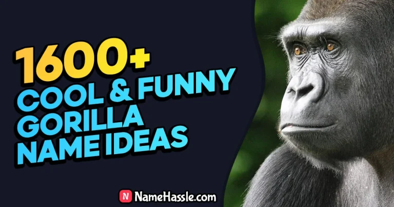 1600+ Cool & Funny Gorilla Names Ideas (Generator)