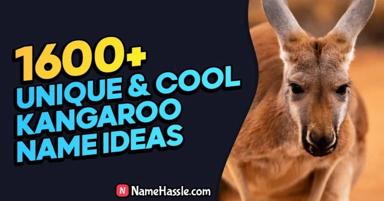 1600+ Cool & Funny Kangaroo Names Ideas (Generator)