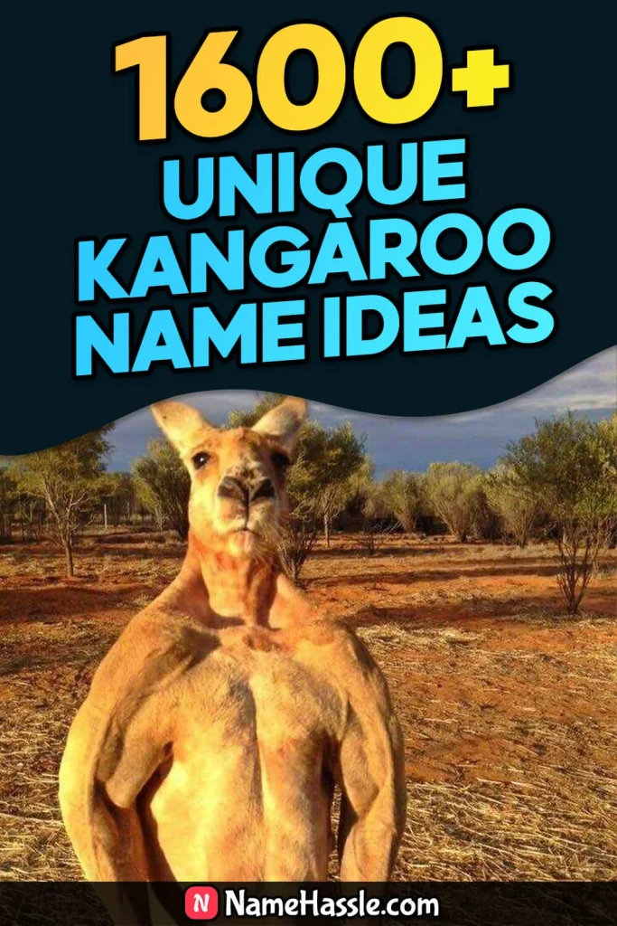 Cool & Funny Kangaroo Names Ideas (Generator)