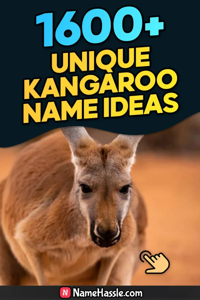 Cool & Funny Kangaroo Names Ideas (Generator)