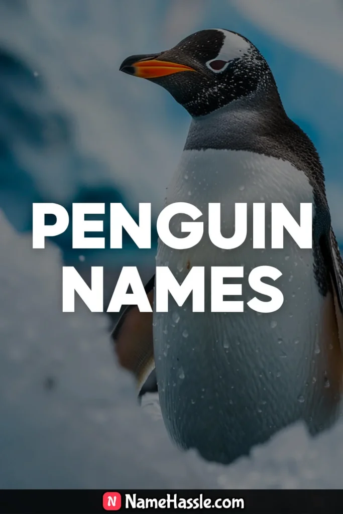 Cool Funny Penguin Names Ideas Generator 6