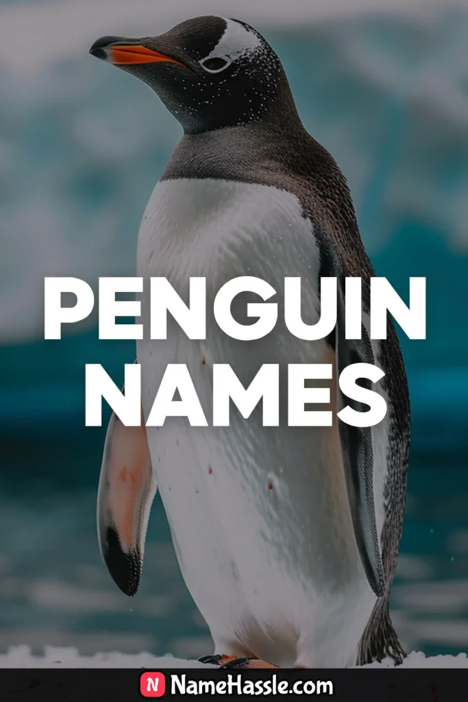 Cool Funny Penguin Names Ideas Generator 9