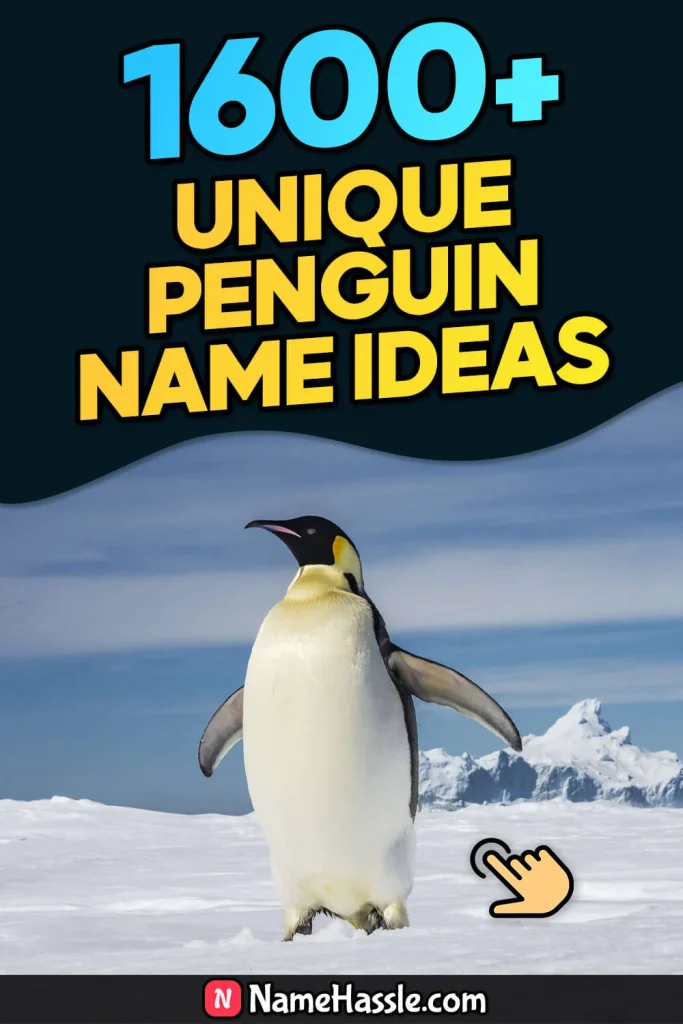 1780+ Cool & Funny Penguin Names Ideas (Generator)
