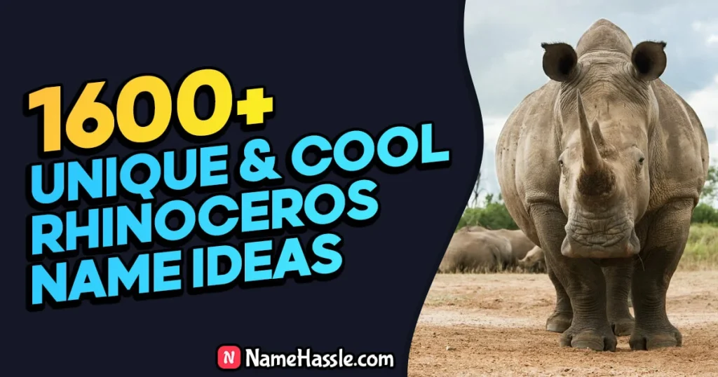 Cool & Funny Rhinoceros Names Ideas (Generator)
