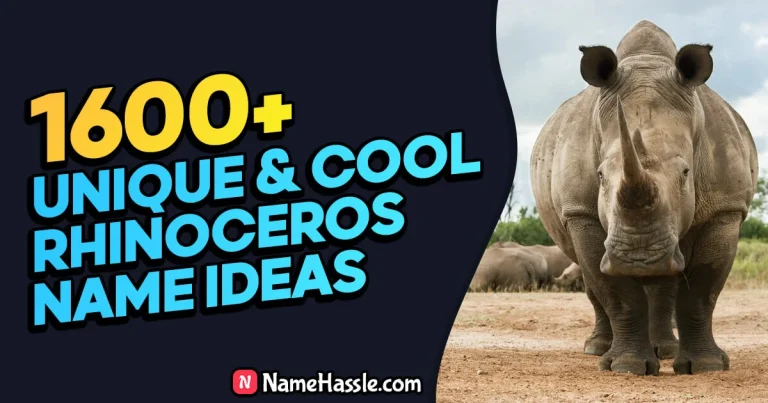 1730+ Cool & Funny Rhinoceros Names Ideas (Generator)