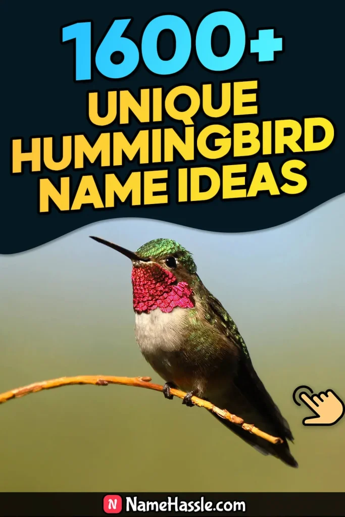 1790+ Cute And Catchy Hummingbird Names Ideas (Generator)
