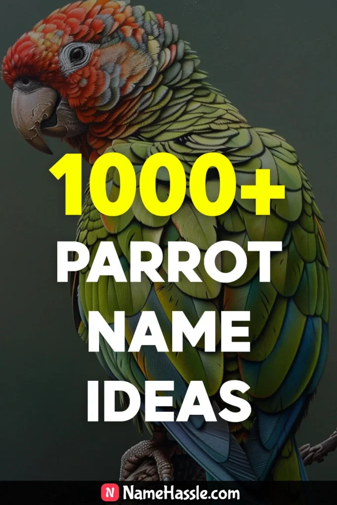 Cute And Catchy Parrot Names Ideas Generator 16