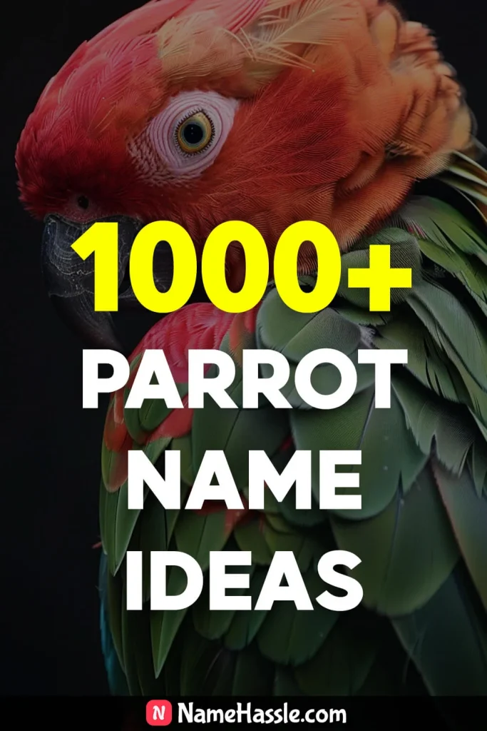 Cute And Catchy Parrot Names Ideas Generator 2