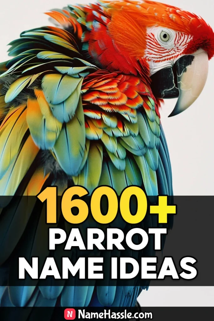 Cute And Catchy Parrot Names Ideas Generator 3