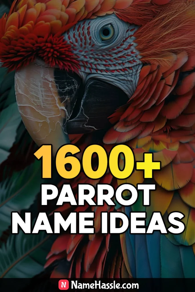 Cute And Catchy Parrot Names Ideas Generator 4
