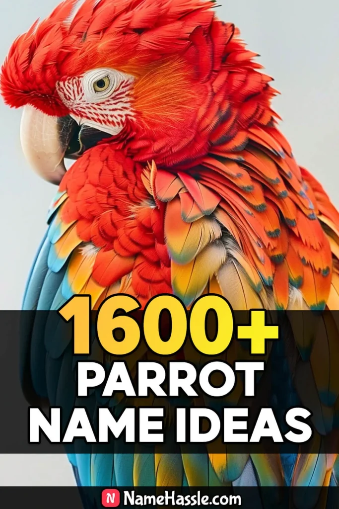 Cute And Catchy Parrot Names Ideas Generator 5