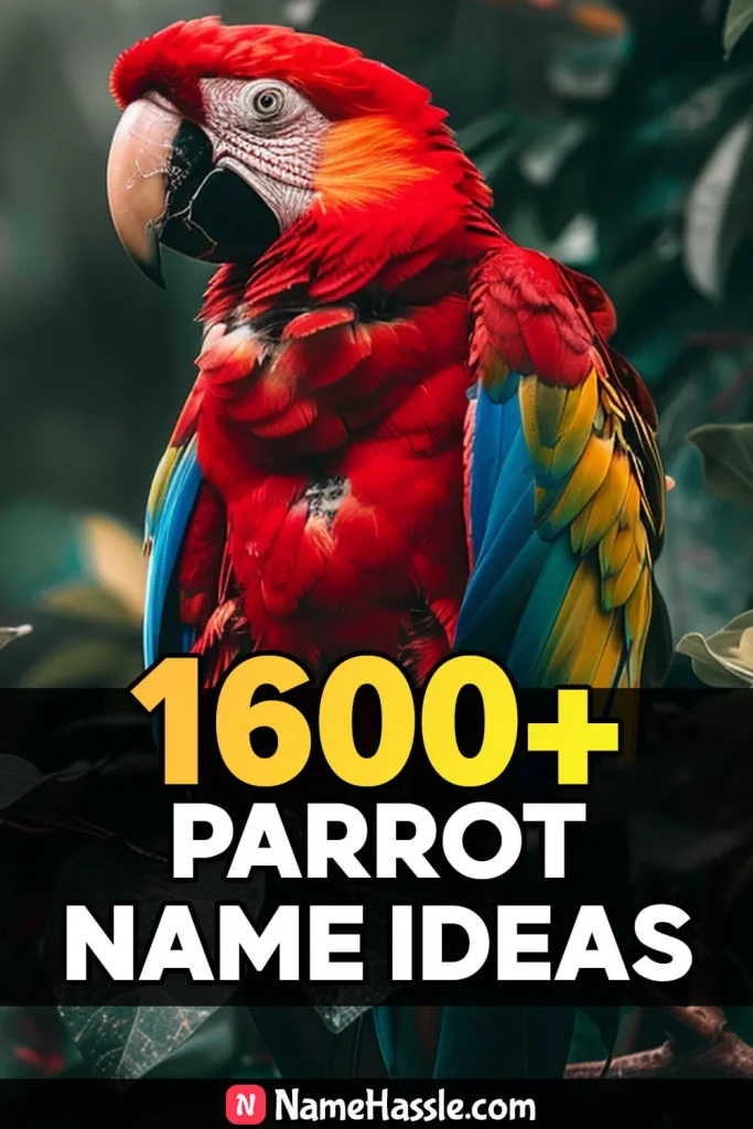 Cute And Catchy Parrot Names Ideas Generator 6