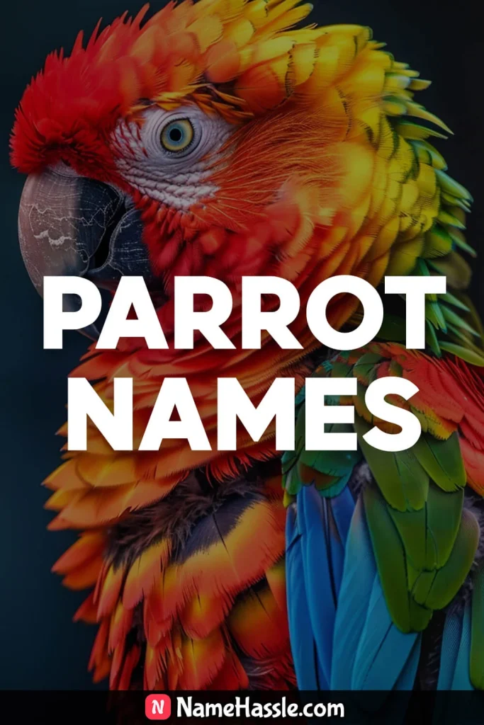 Cute And Catchy Parrot Names Ideas Generator