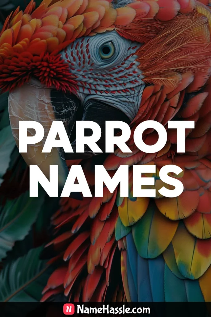 Cute And Catchy Parrot Names Ideas Generator 8