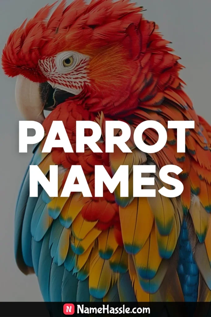 Cute And Catchy Parrot Names Ideas Generator 9