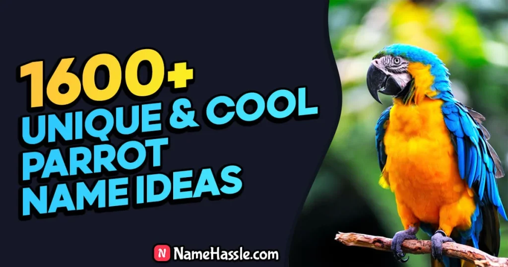 Cute And Catchy Parrot Names Ideas (Generator)