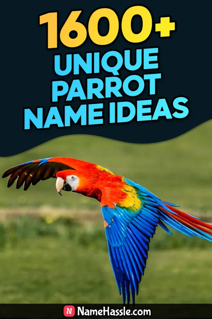 Cute And Catchy Parrot Names Ideas (Generator)