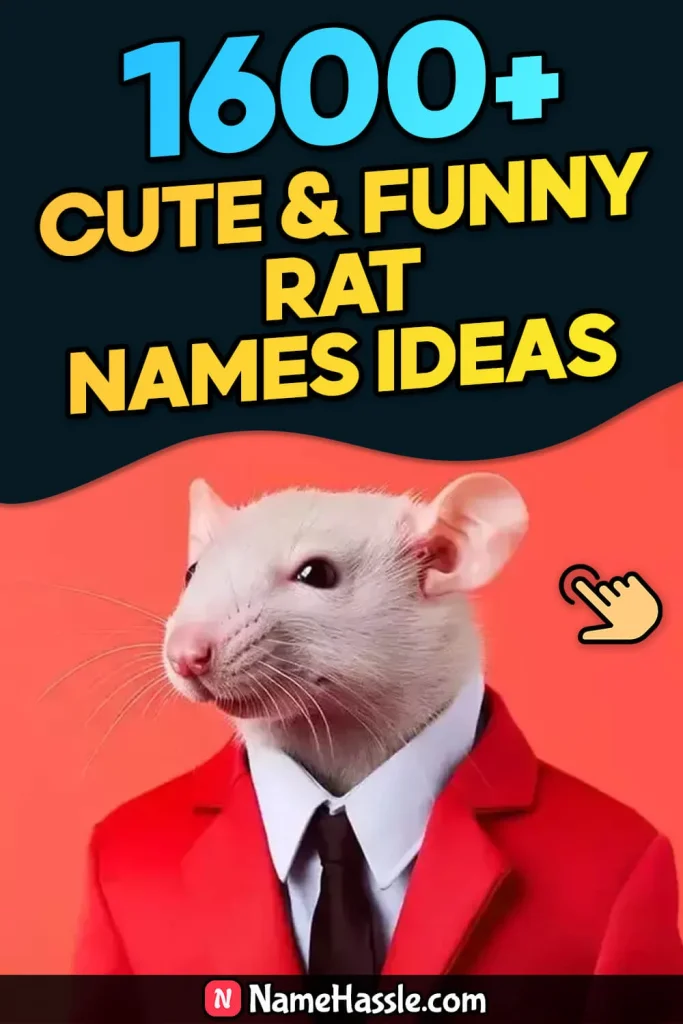 Cute And Funny Rat Names Ideas (Generator)