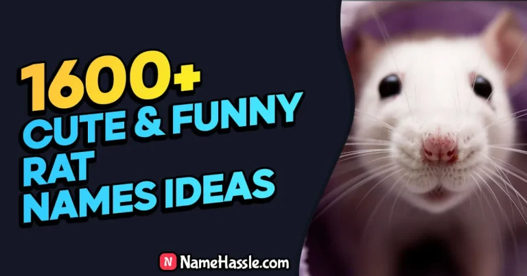 1600+ Cute And Funny Rat Names Ideas (Generator)