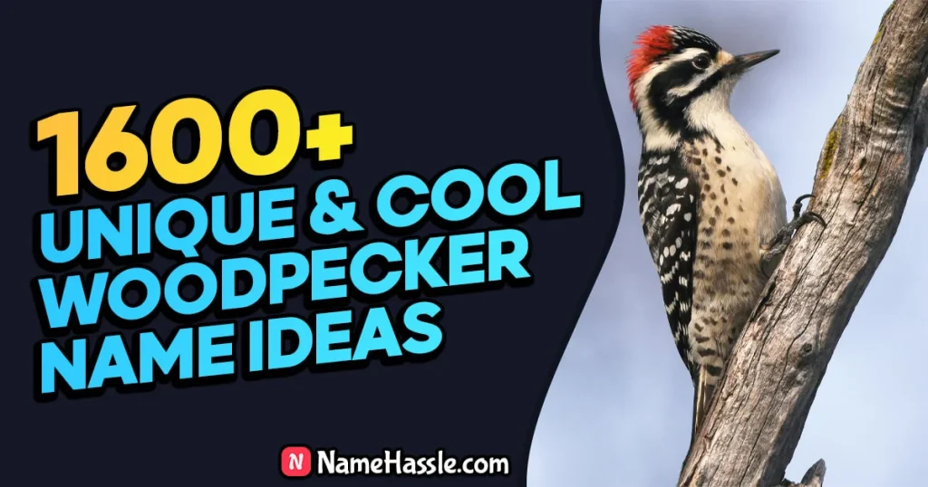 Cute And Funny Woodpecker Names Ideas (Generator)