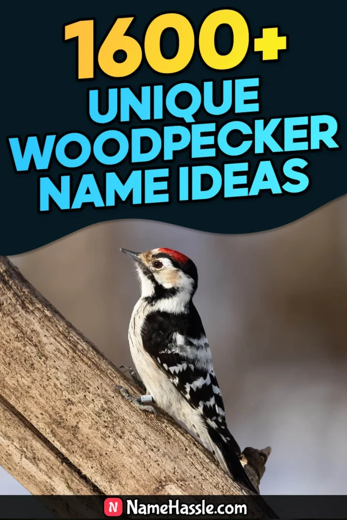 Cute And Funny Woodpecker Names Ideas (Generator)