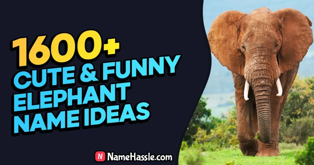 Cute & Funny Elephant Names Ideas (Generator)