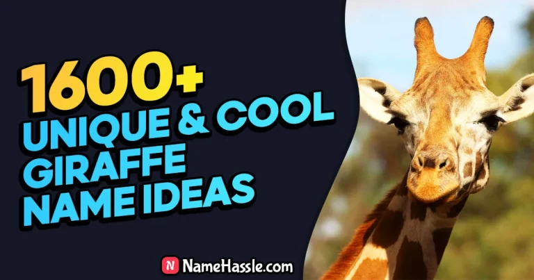 1600+ Cute & Funny Giraffe Names Ideas (Generator)
