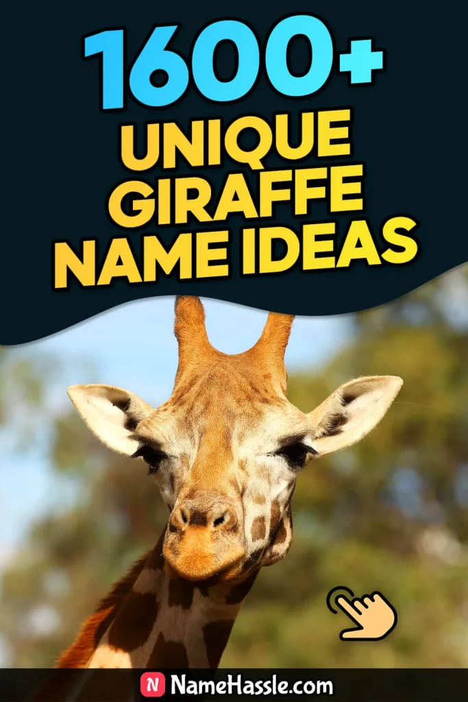 Cute & Funny Giraffe Names Ideas (Generator)