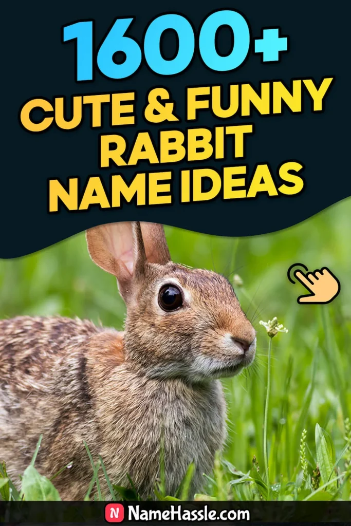 Cute & Funny Rabbit Names Ideas (Generator)
