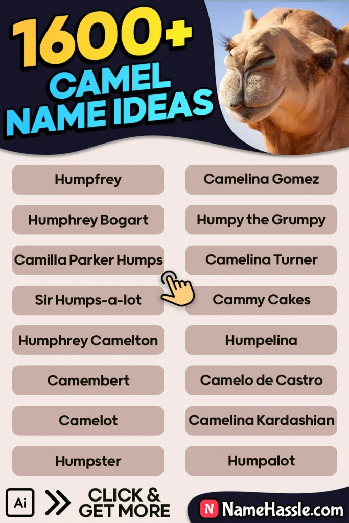 Funny Camel Names