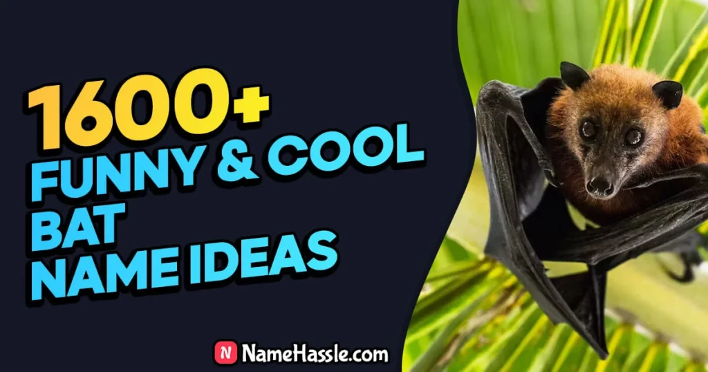 Funny & Catchy Bat Names Ideas (Generator)