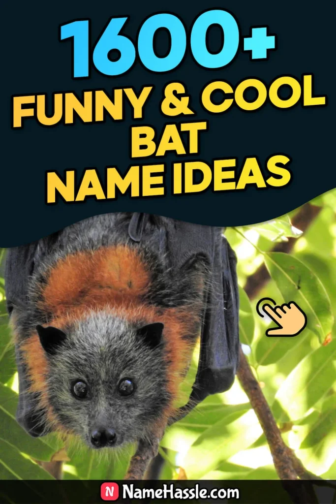 Funny & Catchy Bat Names Ideas (Generator)