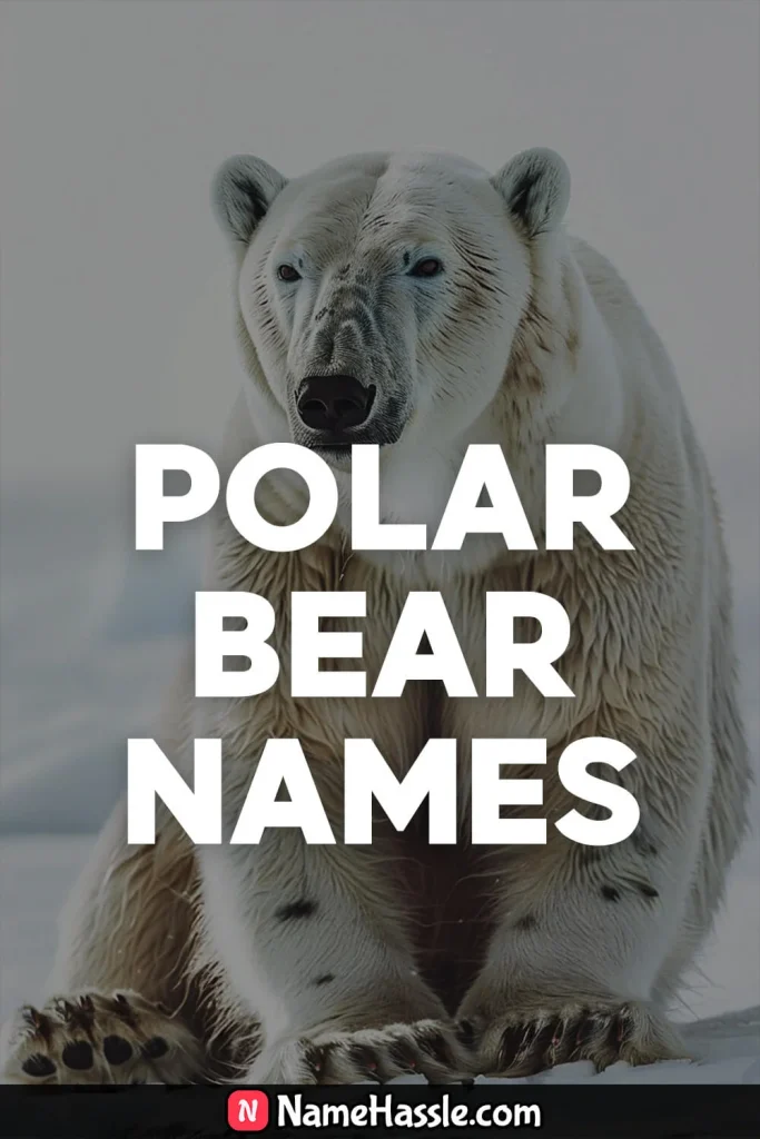 Cool And Funny Polar Bear Names Ideas