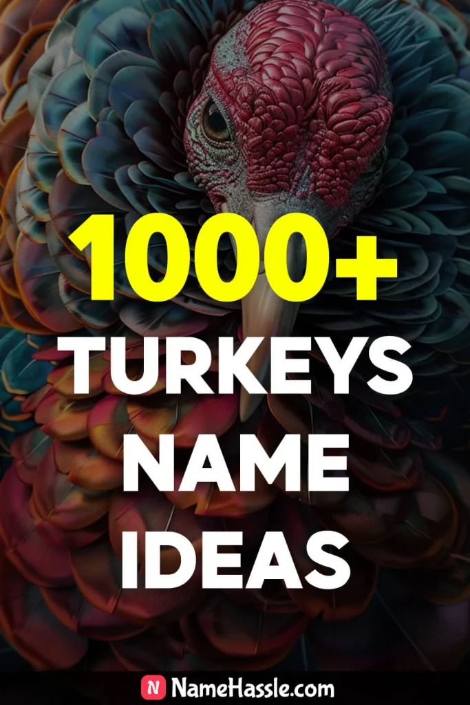 Turkeys Names Ideas 2