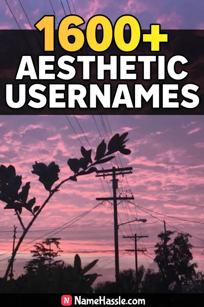 Unique & Aesthetic Usernames Ideas (Generator)