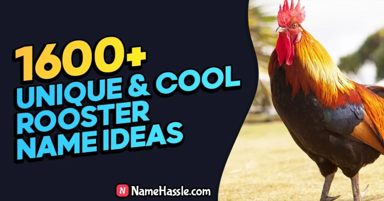 1600+ Unique & Catchy Rooster Names Ideas (Generator)