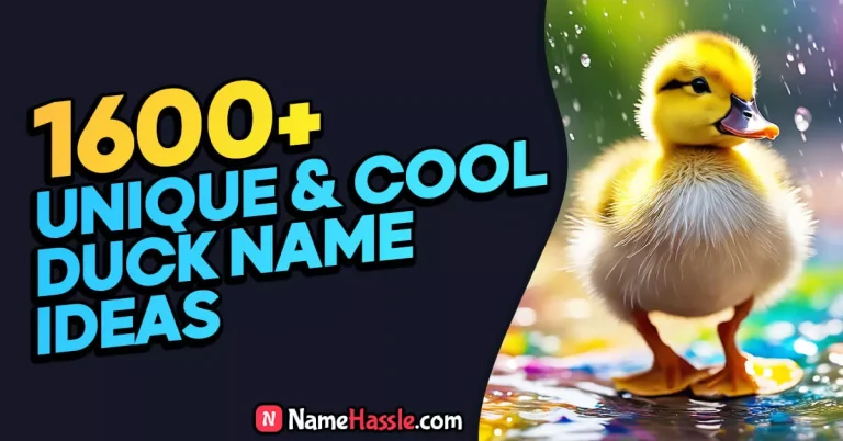 1600+ Unique Cool & Cute Duck Names (Generator)