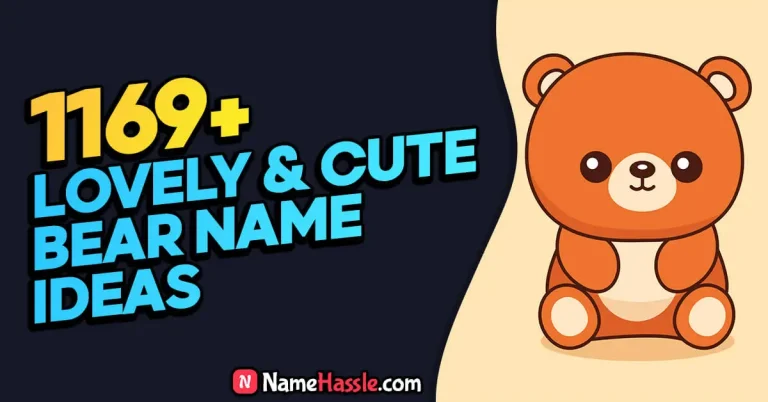 1169+ Unique Creative & Lovely Bear Names (Generator)