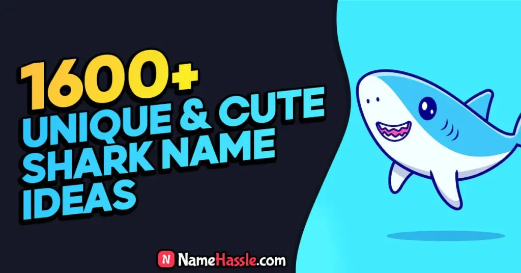 Unique Cute & Stylish Shark Names (Generator)