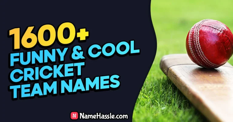 1600+ Unique & Funny Cricket Team Names Ideas (Generator)
